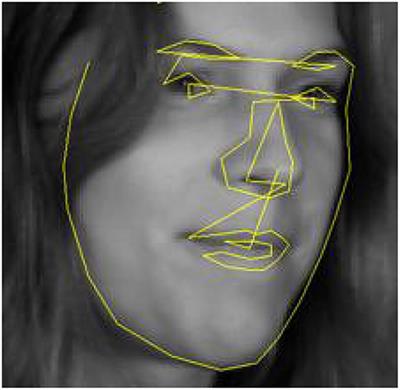 Quantification of Facial Traits